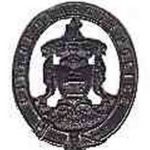 Glasgow helmet badge 1880-1912