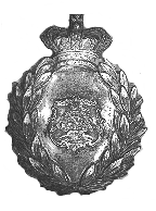 Supt. Helmet badge 1895